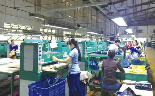 福建 智能 鞋廠,12個(gè)人一天生產(chǎn)1500雙